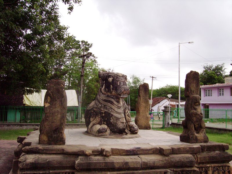nandi