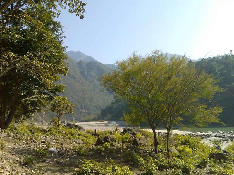 gufa