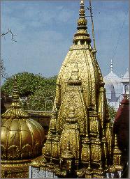 kashi